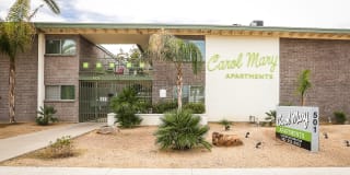 Carol Mary Gallery 22