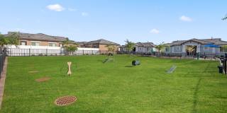 Vlux at Queen Creek Gallery 4