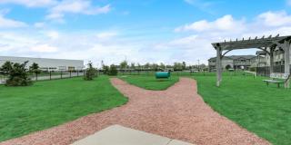 The Reserve at Romeoville Gallery 12