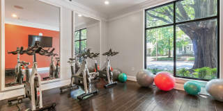 Elizabeth Station Gallery 22