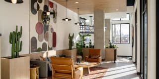 Aura Arts District Gallery 7