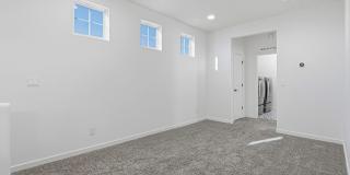 4512 Mark Avizo Gallery 20