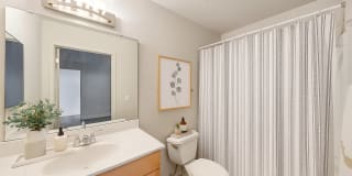 Stadium Loft Apartments Gallery 5