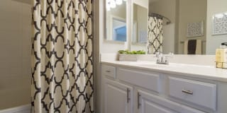 Preserve at Tampa Palms Gallery 13