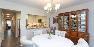 3 SPA CREEK Landing Gallery 9