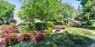 Hidden Oaks Gallery 31