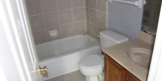 5573 Tulip Tree Drive Gallery 5