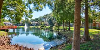 TimberLake Gallery 25