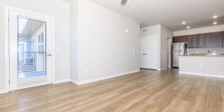 Polaris Peak Gallery 9