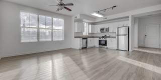 Park Lane Village Gallery 25