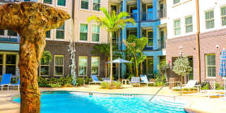 Novus Westshore Gallery 2