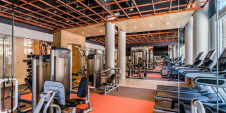 City Centre Ithaca Gallery 24