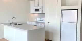 Terrace on Walnut Gallery 65