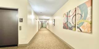 2 Bedroom in Winstead Commons! Convenient to Lawndale Dr, Battleground Ave, and More! 2 Bedroom in Winstead Commons! Convenient to Lawndale Dr, Battleground Ave, and More! Gallery 18