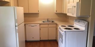 1318 S. Ivy St. ~ Cozy Duplex Gallery 5