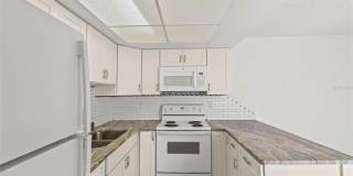 1163 ORANGE TREE CIRCLE W Gallery 11