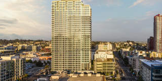 The Merian Gallery 103