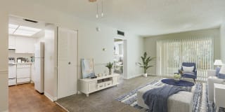 Imperial Palms Gallery 4