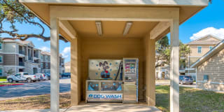 Roots at Boerne Gallery 19