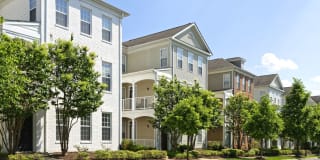 Avalon at Traville Gallery 30