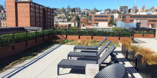 Latitude Latitude Gallery 7