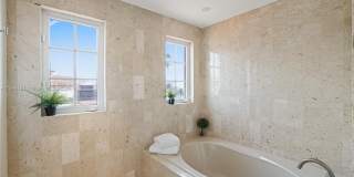 2442 Fisher Island Dr Gallery 24