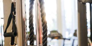 Linden on the GreeneWay Gallery 32