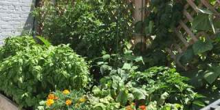 1834 Ingleside Terrace Northwest Gallery 13