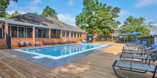 Turtle Lake Gallery 30