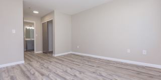 The Hazelwood Gallery 38