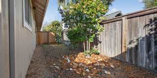 663 Spring Lane Gallery 22