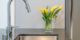 Sharon Green Gallery 10