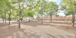 29133 N 125th Drive Gallery 21