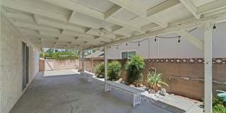 6656 Cleomoore Gallery 27