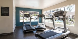 Lakeview Village Gallery 15