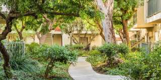 Village Pointe Gallery 15