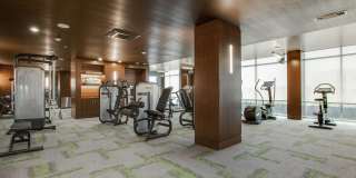 The Catherine Gallery 56