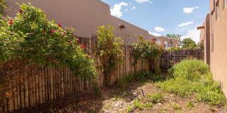 Single Level 3 Bedroom 2.5 Bath home in Desirable neighborhood Available Now! Gallery 32