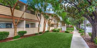 Ladera Woods Gallery 1