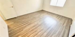 1008 Falconhead Lane Gallery 9