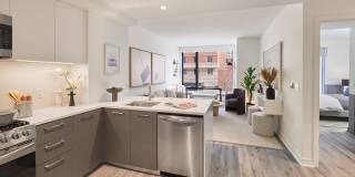 Crossing DC Gallery 12