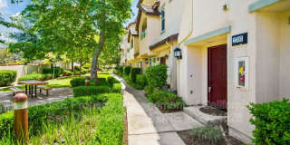 2703 Apricot Ct Gallery 1