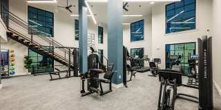 Arcadia 331 Gallery 17