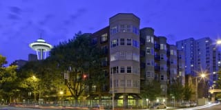 Sidney Sidney Gallery 15