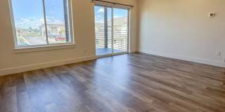 Pet Friendly 2 bed/ 2 bath apartment! Gallery 1