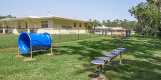 The Julep Gallery 42