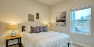 Alder Walk Gallery 12