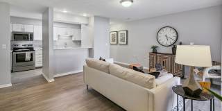 The Donovan Apartment Homes Gallery 4