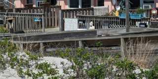 1115 Oceanfront Avenue Gallery 8