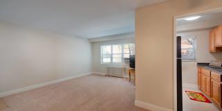 Springfield Gardens Gallery 2